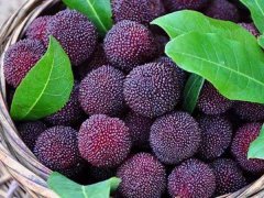 嘉弘塑料護目鏡專用PVC粒料，助力早日打贏疫情